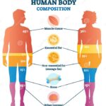 Part 1 – Optimal Body Composition